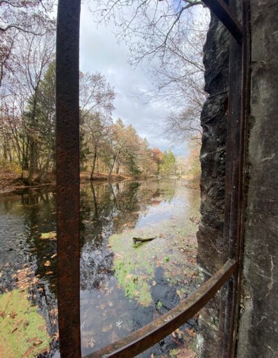 Window at Paradise Springs Nature Area