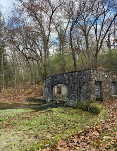 Pond at Paradise Springs Nature Area