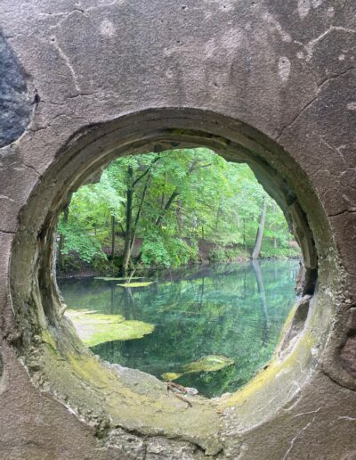 Paradise Springs Nature Area Porthole to Summer