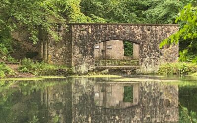 Paradise Springs Nature Trail: A Picture-Perfect Hike