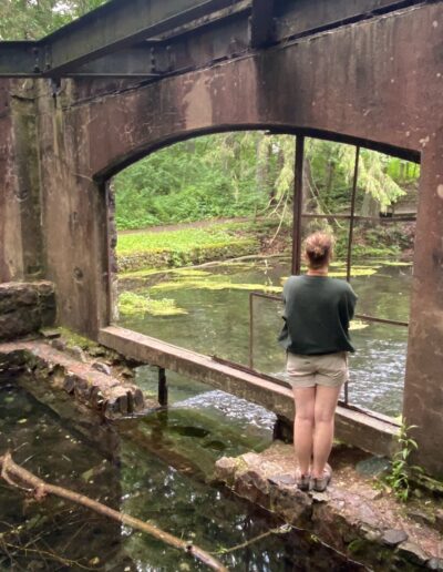 Paradise Springs Nature Area Springhouse View