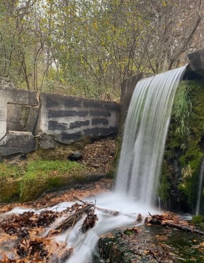 Paradise Springs Waterfall