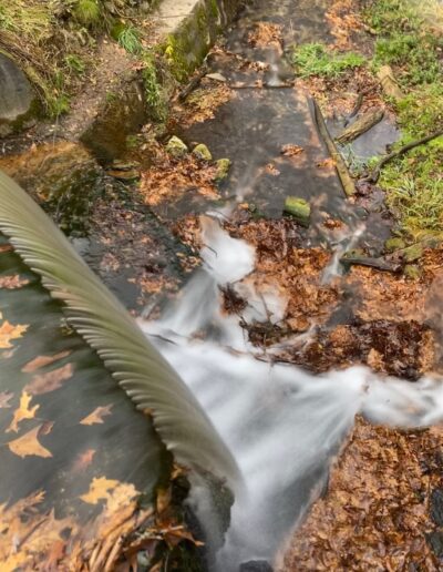 Waterfall at Paradise Springs Nature Area