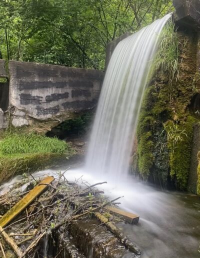 Paradise Springs Nature Area Waterfall