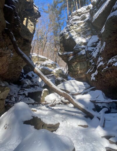 Parfrey's Glen Natural Area