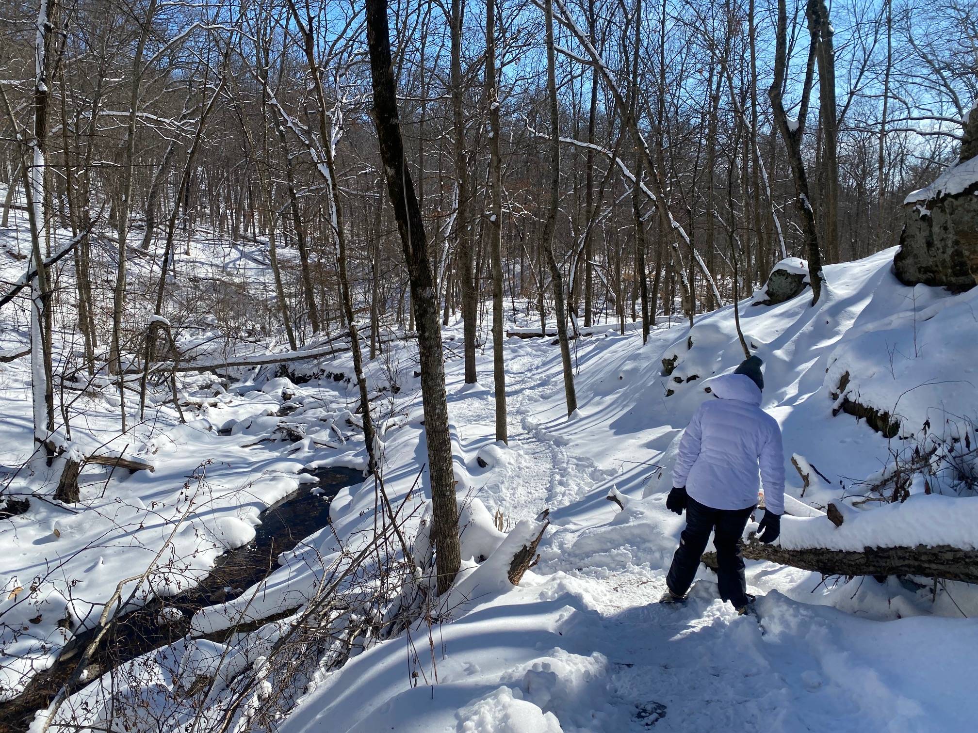 Parfrey's Glen Natural Area