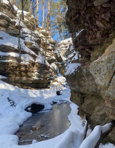 Parfrey's Glen Natural Area