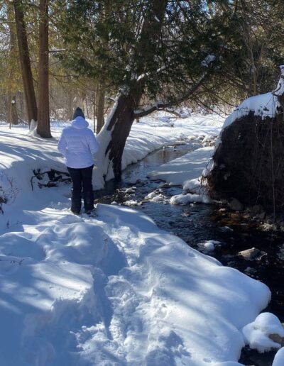 Parfrey's Glen Natural Area