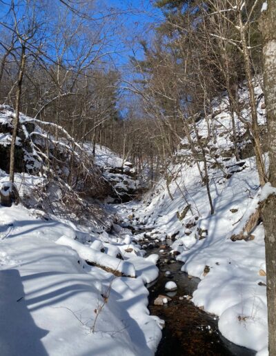 Parfrey's Glen Natural Area