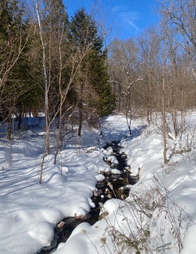 Parfrey's Glen Natural Area