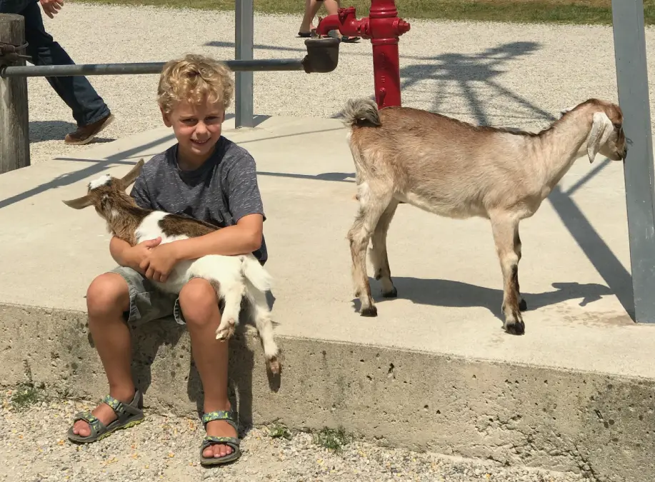 The Farm in Door County, WI - A Must-Visit for Families