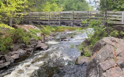 5 Worthy Wisconsin County Parks You Should Visit