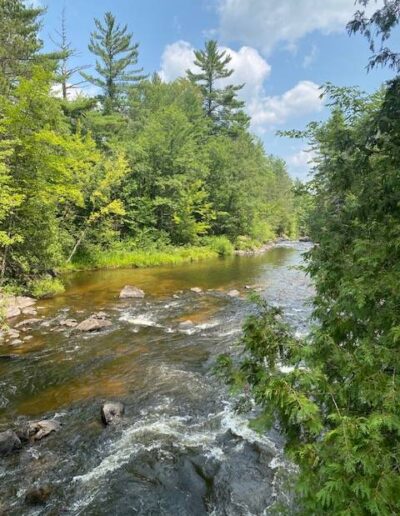 Dave's Falls County Park