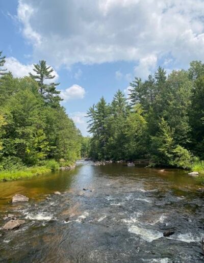 Dave's Falls County Park